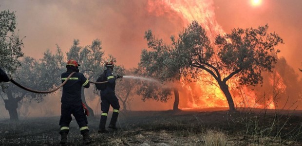 Φωτιά στη Λέσβο: Κάηκαν σπίτια στα Βατερά 